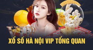 hà nội vip