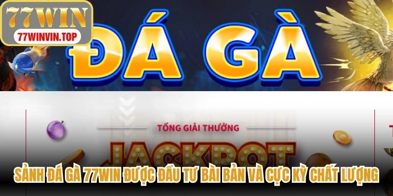 Sảnh đá gà 77WIN được đầu tư bài bản và cực kỳ chất lượng